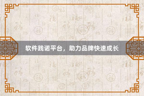 软件践诺平台，助力品牌快速成长