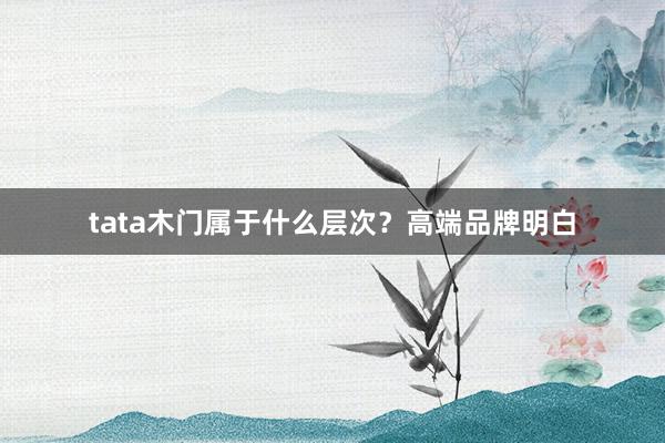 tata木门属于什么层次？高端品牌明白